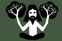 Cultivated Zen