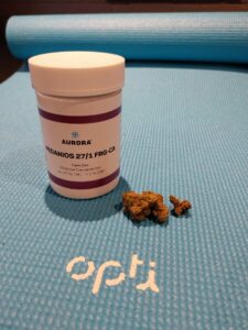 Ganja Yoga: Elevating the spirit, one pose at a time