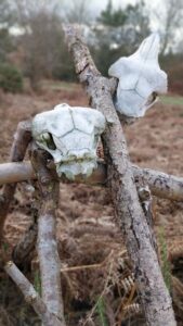Magick rituals using skulls