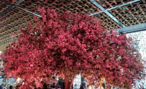 The spiritual significance of spring